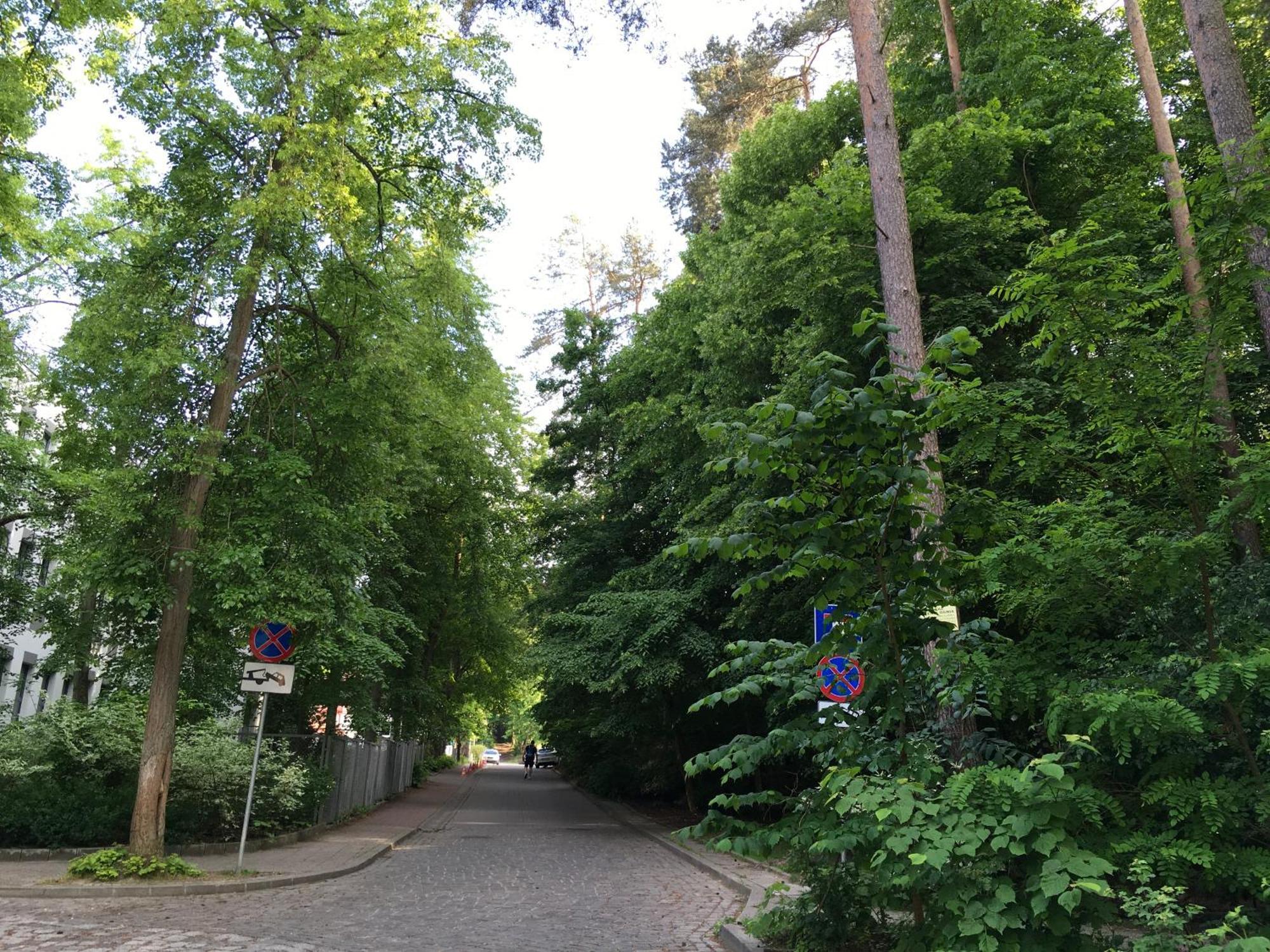 Przytulny Apartament Blisko Lasu Z Szybkim Wi-Fi 索波特 外观 照片